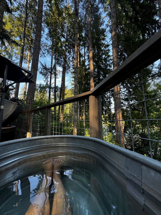 The hot tub on the deck ringed by tall fir trees